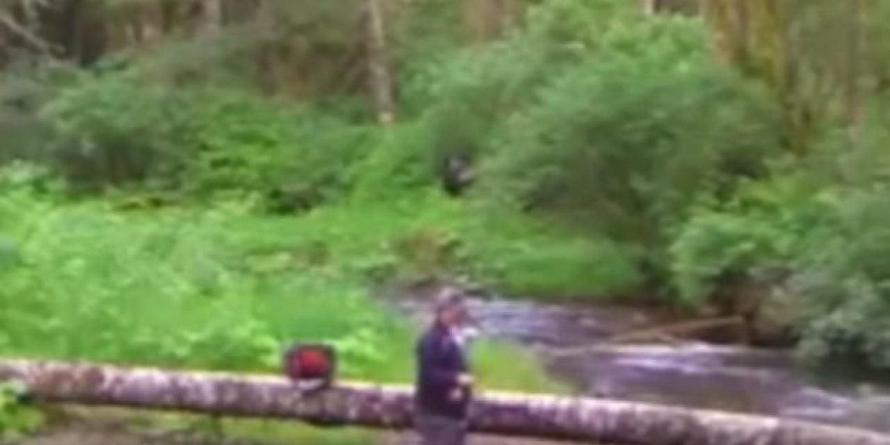 Video: Did This Fisherman Just Capture the Next Bigfoot Footage?