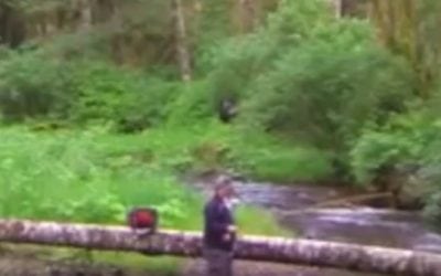 Video: Did This Fisherman Just Capture the Next Bigfoot Footage?