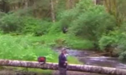 Video: Did This Fisherman Just Capture the Next Bigfoot Footage?