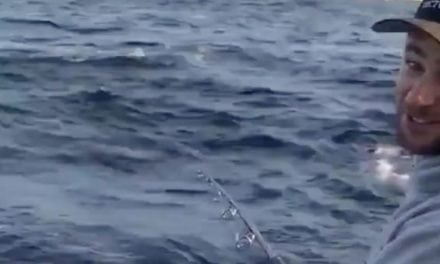 Video: Insane Boat-Side Tuna Strike Shows How Strong They Are