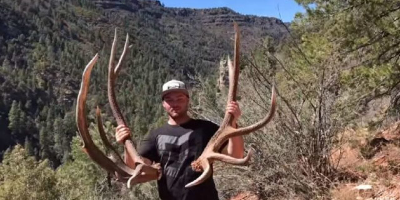 Video: The Hushin Crew Picks Up Some Freak Elk Sheds