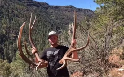 Video: The Hushin Crew Picks Up Some Freak Elk Sheds