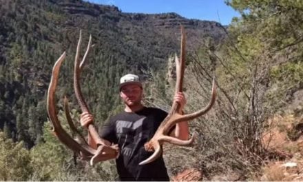 Video: The Hushin Crew Picks Up Some Freak Elk Sheds