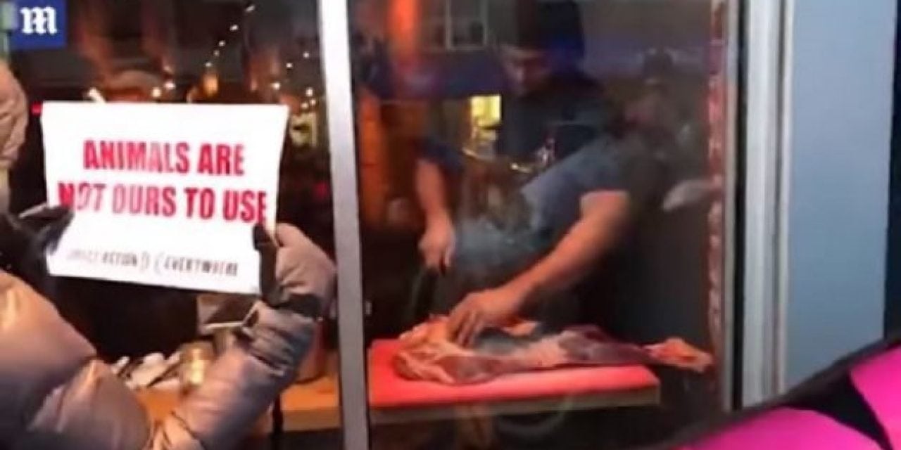Video: Toronto Chef Butchers Deer Leg in Front of Animal Rights Activists