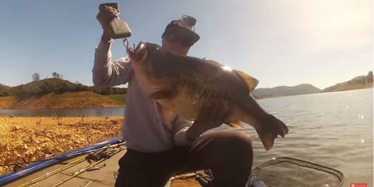 Video: Watch This Guy Hook and Land a 17-Pound Bass