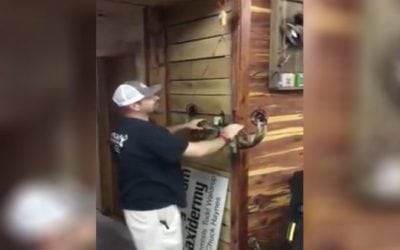 Watch What Happens When This Bow Is Released at Full Draw