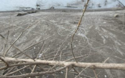 What’s (Where’s) Your Line?