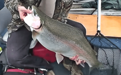World-Record 37-Pound Rainbow Trout Caught on Film