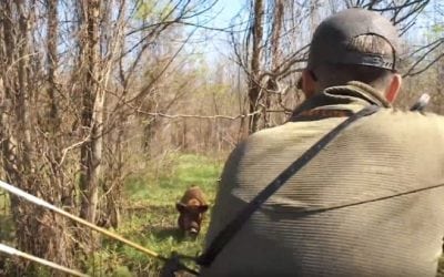You Won’t Believe How This Traditional Archery Hog Hunt in Arkansas Ends