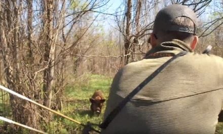 You Won’t Believe How This Traditional Archery Hog Hunt in Arkansas Ends