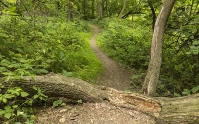 5 Hiking Bags Perfect for Your Next Trek