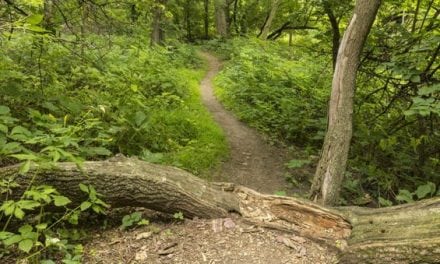 5 Hiking Bags Perfect for Your Next Trek