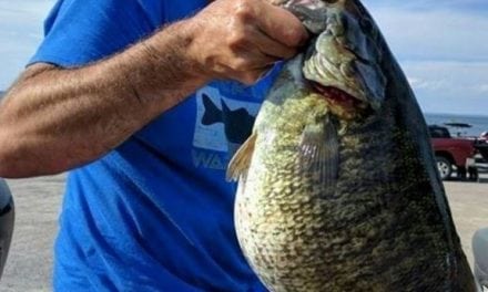 8-pound, 4-ounce Smallmouth ties NY record!