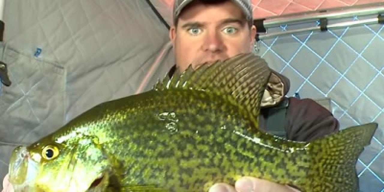 Backcountry Manitoba Crappie (Video)