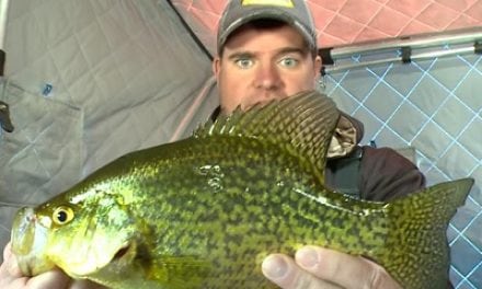 Backcountry Manitoba Crappie (Video)