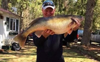 Big Walleye Could Be New Record for New York