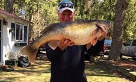 Big Walleye Could Be New Record for New York