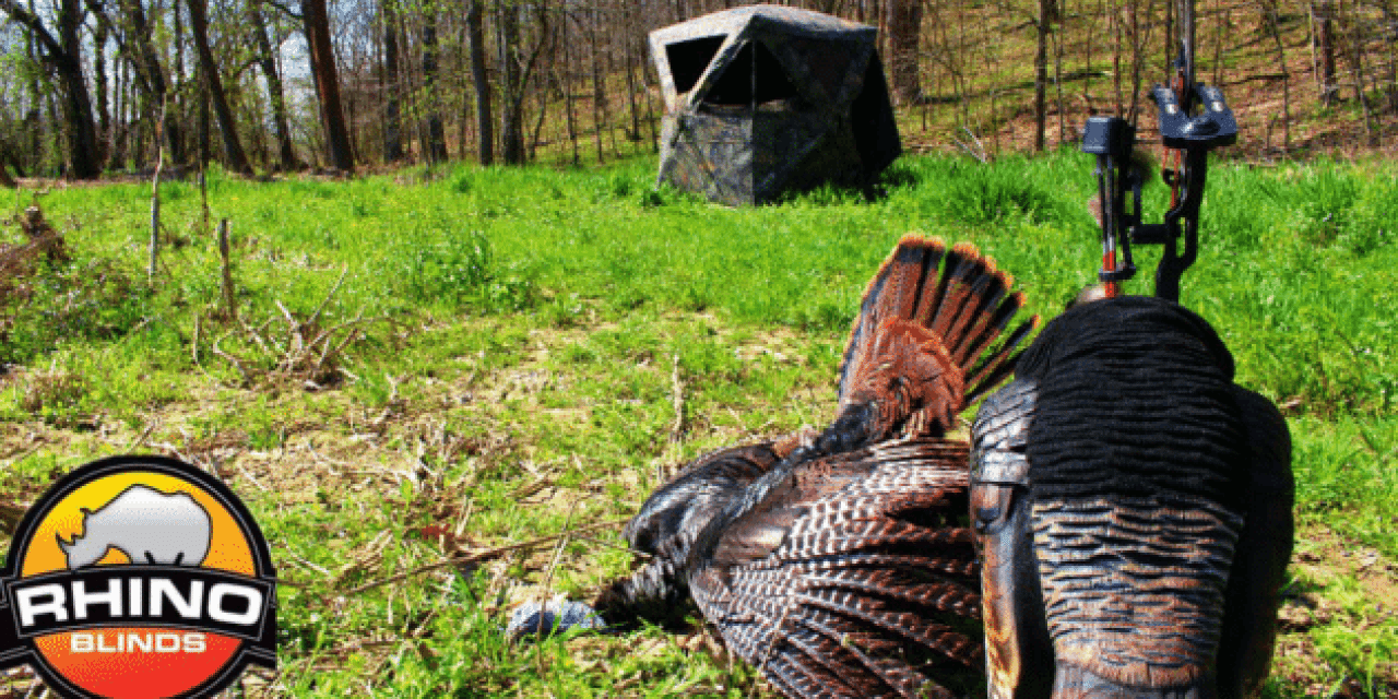 Can You Kill a Big Tom if You Set Your Blind Up the Same Day?