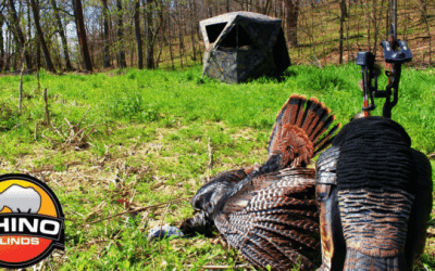 Can You Kill a Big Tom if You Set Your Blind Up the Same Day?