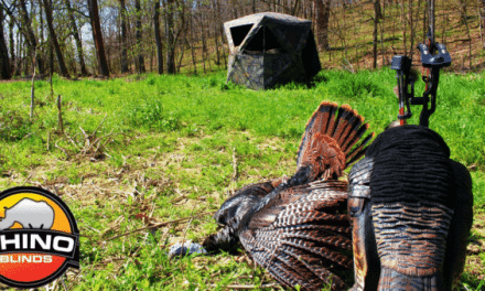 Can You Kill a Big Tom if You Set Your Blind Up the Same Day?