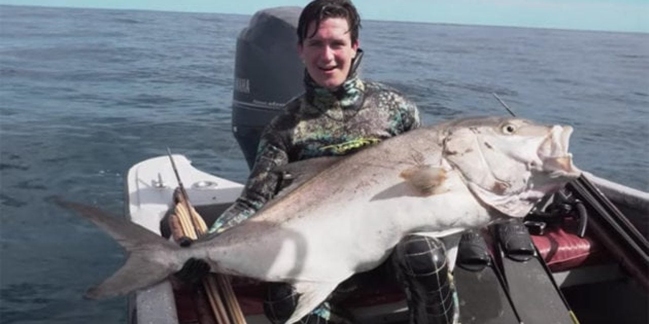 Check Out This Awesome Spearfishing Video From Seacarios