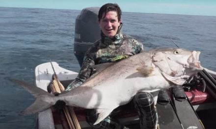 Check Out This Awesome Spearfishing Video From Seacarios