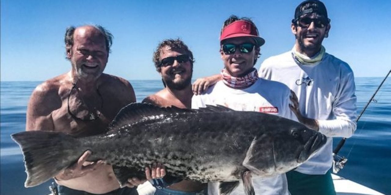 Chef Catches State-Record Gag Grouper, Certifies it, Then Makes Fish Tacos