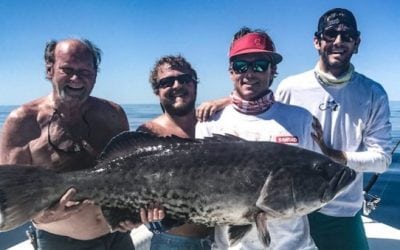 Chef Catches State-Record Gag Grouper, Certifies it, Then Makes Fish Tacos
