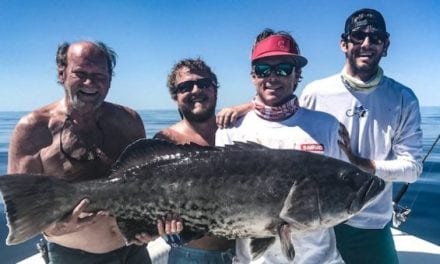 Chef Catches State-Record Gag Grouper, Certifies it, Then Makes Fish Tacos