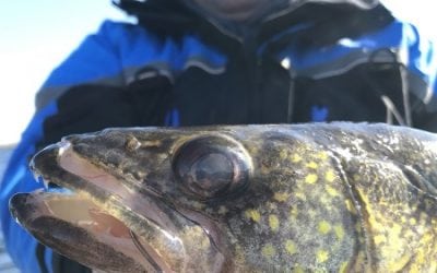 Clam Pro TackleTM Announces New Open Water Tungsten Jigs