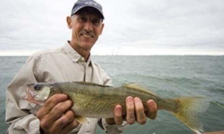 Collaborative walleye restoration efforts to begin on Lac Vieux Desert