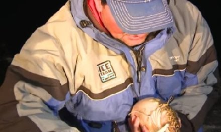 Covered in Eelpout Slime (Video)