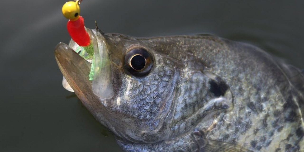 Crappie Jams