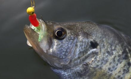 Crappie Jams