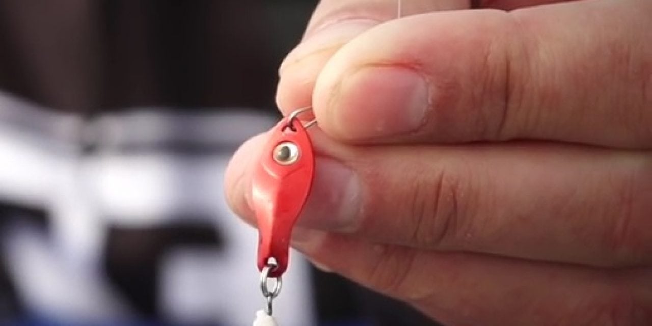Crappie Magnet the Guppy Flutter Spoon