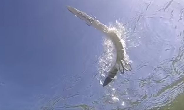 Daddy Mac Lures Viper 12″ and 6″ Eel (VIdeo)