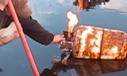 Ever Wondered What Would Happen If You Shot a Propane Tank?