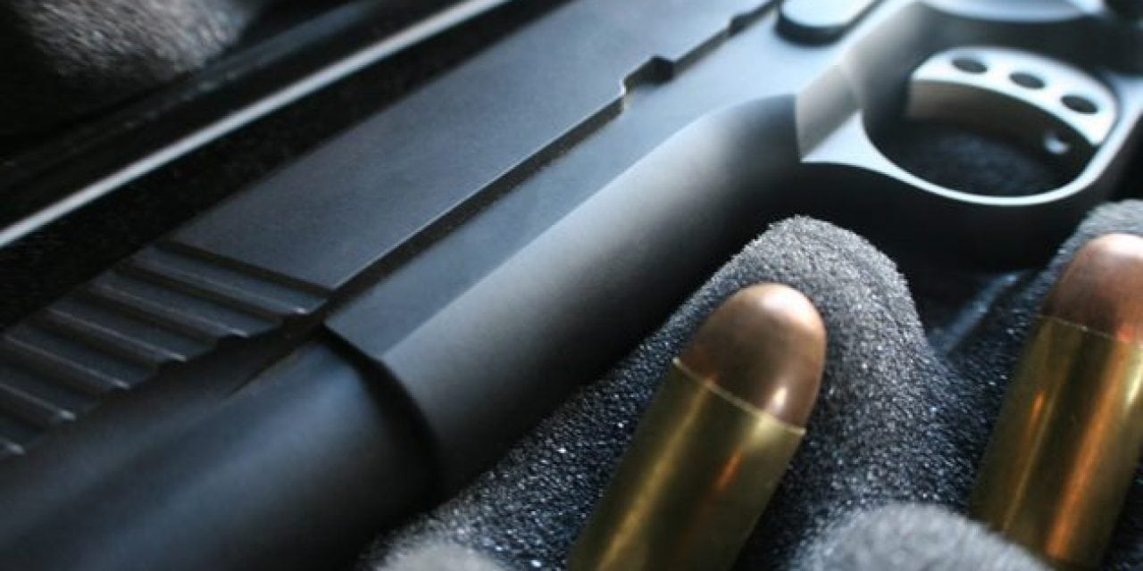 Every Fine Gun Deserves a Good Protector: Here’s to the Gun Case