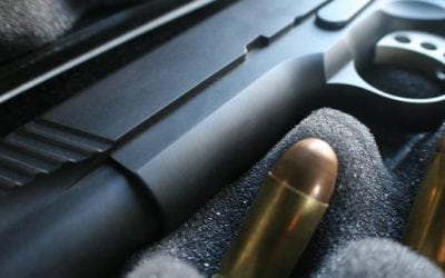 Every Fine Gun Deserves a Good Protector: Here’s to the Gun Case