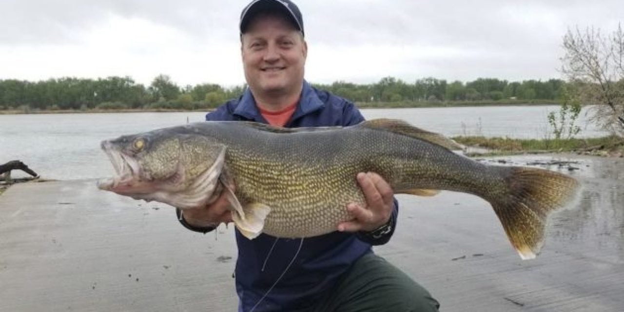 Giant North Dakota Walleye Breaks State Record