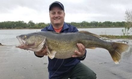 Giant North Dakota Walleye Breaks State Record