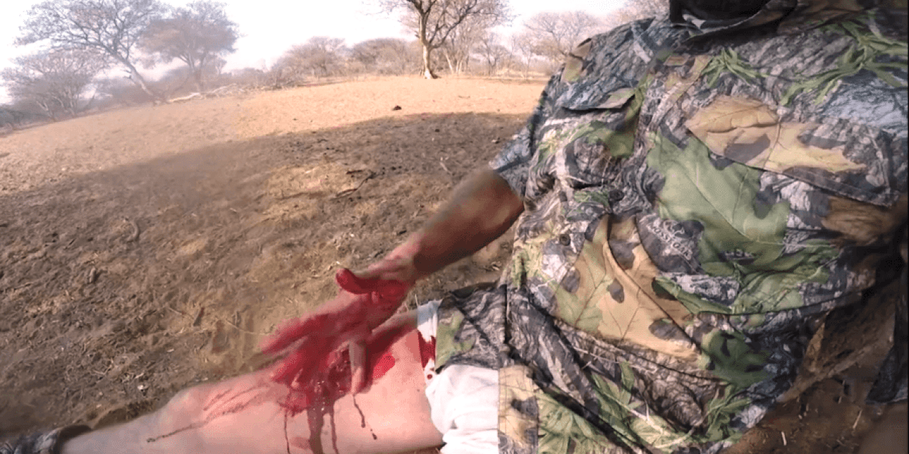 GRAPHIC: Tim Wells Badly Wounds Himself With His Own Spear