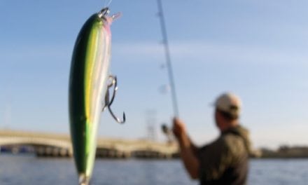 Heat Up Your cold Water Action With Jerkbaits