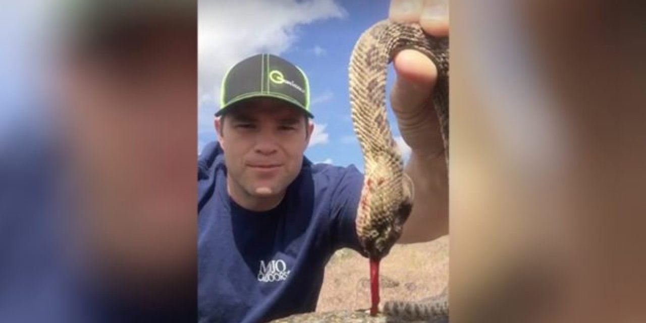 How to Kill a Rattlesnake with Your Hands