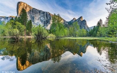 How To Use Histograms