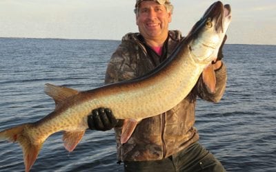 I Love (Hate) Muskies!