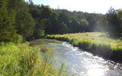 Improvements for Long Pine Creek