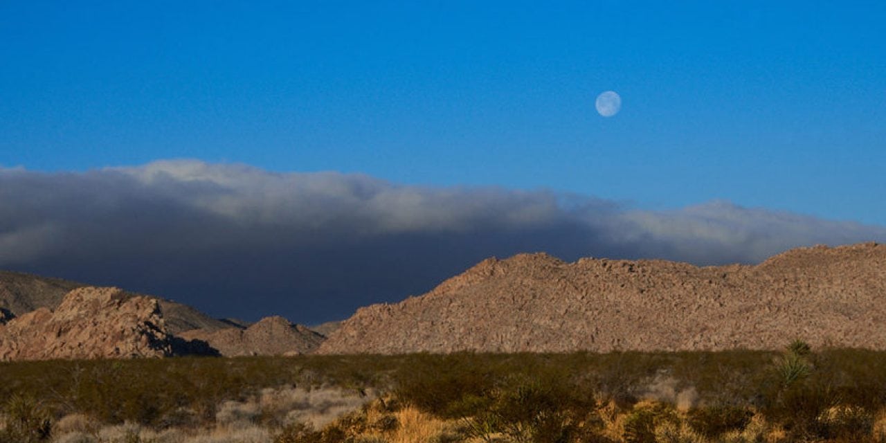 Landscape Lessons Joshua Tree, Part 1: Scouting Locations