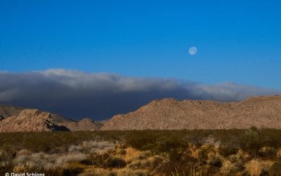Landscape Lessons Joshua Tree, Part 1: Scouting Locations