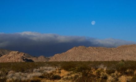 Landscape Lessons Joshua Tree, Part 1: Scouting Locations